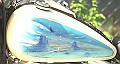Airprush Bikes 045